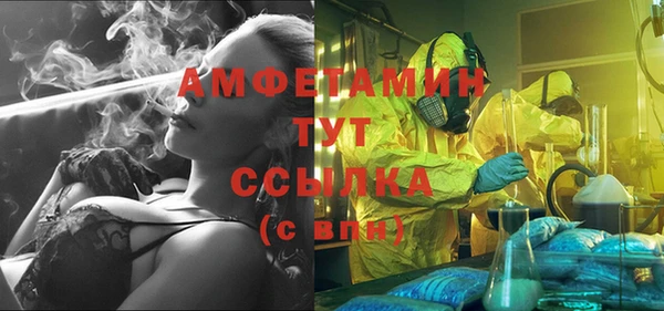 молекула духа Мегион