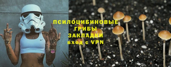 молекула духа Мегион